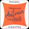 Stará Paka - Antonín